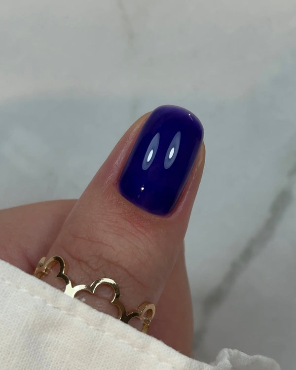 Builder Gel BBIO "Didier Lab" Blueberry, HEMA & TPO free, 15ml