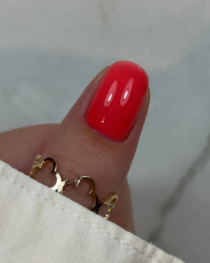 Builder Gel BBIO "Didier Lab" Love Red, HEMA & TPO free, 15ml