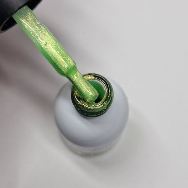 ExoticEclectusparrot_grande.jpg?v=1682517612