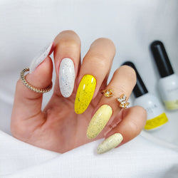 Macarons Summer collection